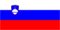 Slovenski jezik